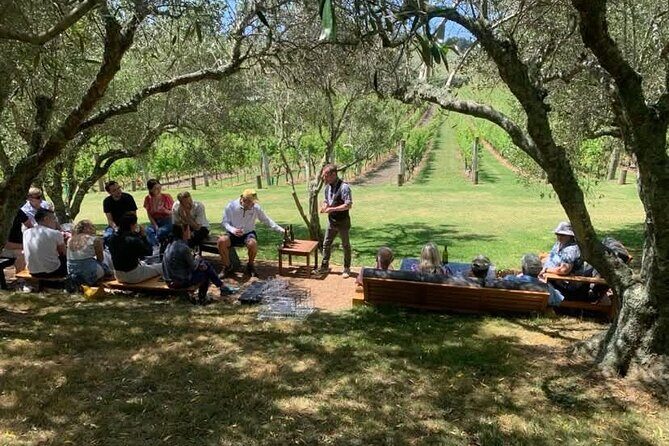 Waiheke Island Wine Tour with Tastings & Gourmet Beachfront Lunch - What you actually get from the wine tastings (and what’s included vs not)