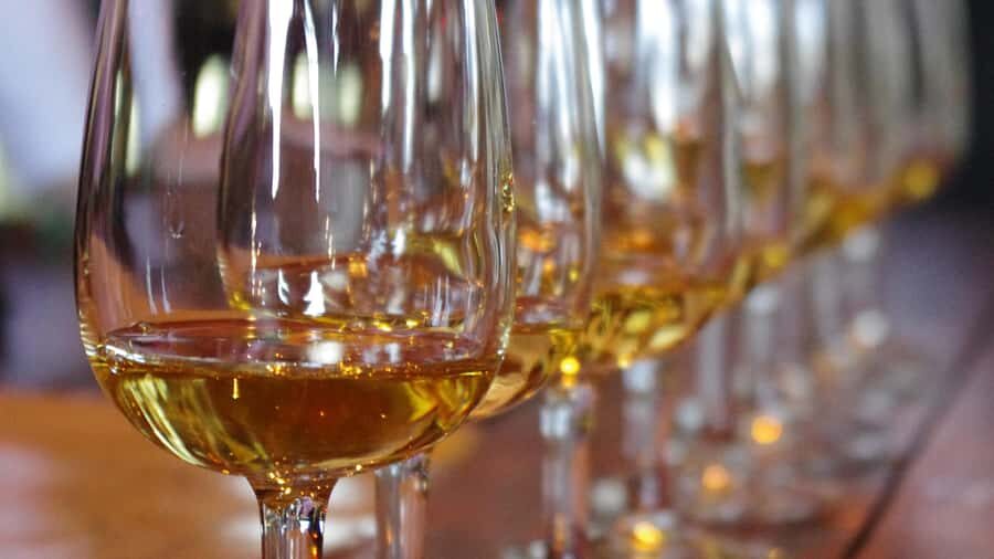 Waiheke Island Wine Tours - PREMIUM Wines - Max 11 clients ! - Key highlights at a glance