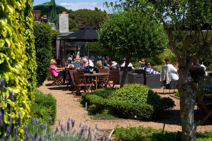 Waiheke Island Wine Tours - PREMIUM Wines - Max 11 clients ! - Entering Waiheke: what this tour does well from minute one