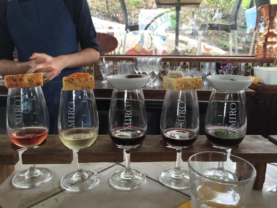 Waiheke Island Wine Tours - PREMIUM Wines - Max 11 clients ! - The scenic drive and photo stop: your warm-up before the tastings