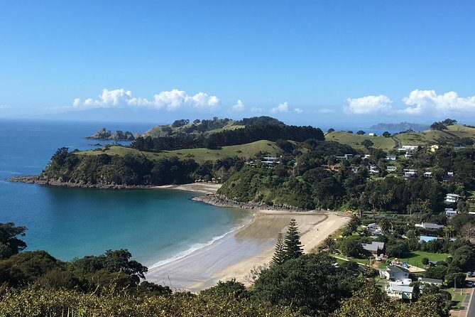 Waiheke island wine tours with Waitiki Tours - Why Waiheke Wine Tours Feel Better in a Group Under 6