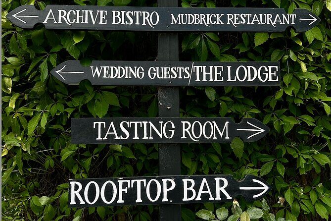 Waiheke island wine tours with Waitiki Tours - Timing and Transportation: How the 6-Hour Plan Actually Works