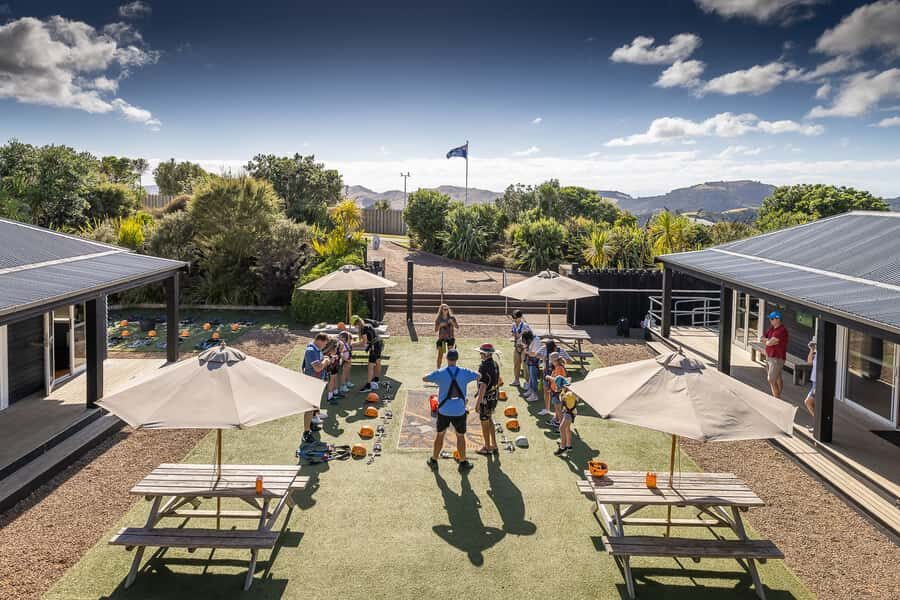 Waiheke Island: Zipline and Native Forest Adventure Trip - Price and value: why $89 can make sense (if your timing is good)