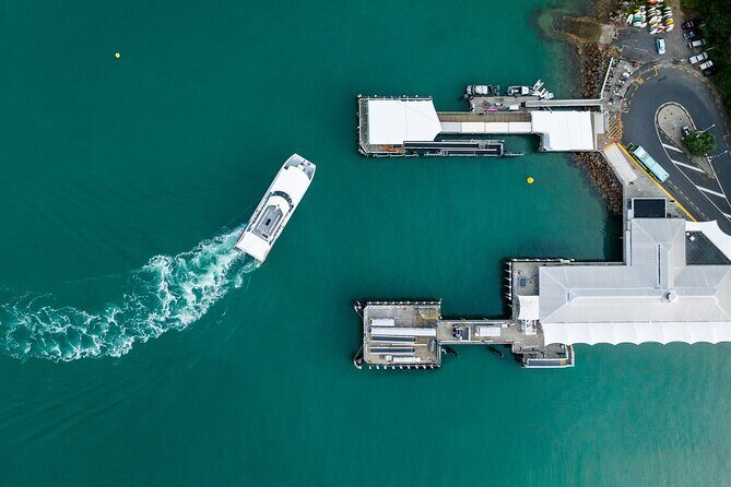 Waiheke Reserve Ferry Service to Waiheke Island - Practical Planning Tips (So the Ferry Day Stays Calm)