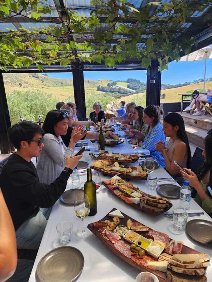 Waiheke: Scenic Taste and Graze Tour with Wine, Whisky, Beer - The value question: why $238 can feel fair (or not)