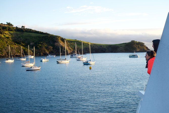 Waiheke Wine and Dine - Batch Winery - Price and value: what you’re really paying for