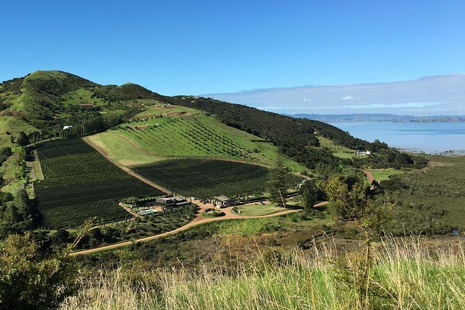 Waiheke Wine and Dine - Batch Winery - Weather: what happens if the day turns gray