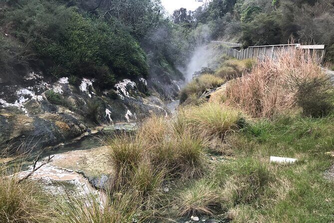 Waimangu Geothermal Valley & Lake Rotomahana Tour – 7hrs - Key highlights worth planning for