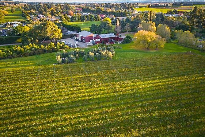 Waipara Valley Winery Tour Wine Tastings and Scenic Views - The tastings: what you can realistically expect to learn