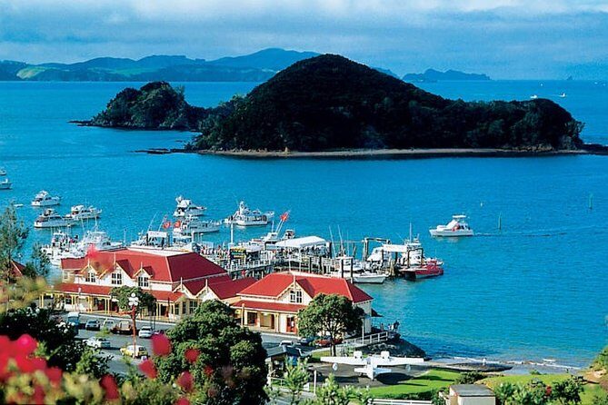 Waitangi Treaty Ground Day Trip Private Transport From Auckland - Key points worth knowing before you go