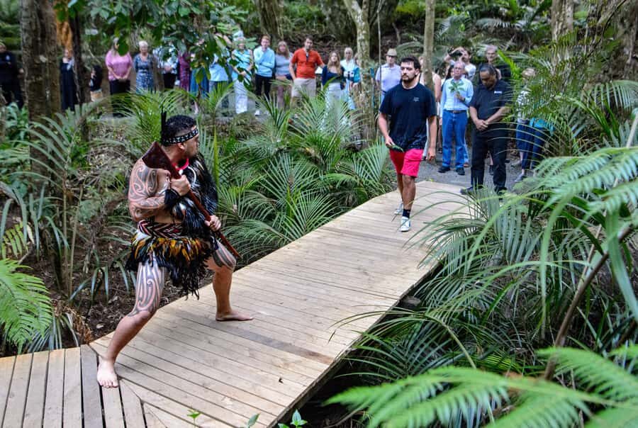 Waitangi: Treaty Grounds Hāngī and Concert Combo Pass - Key things to know before you go