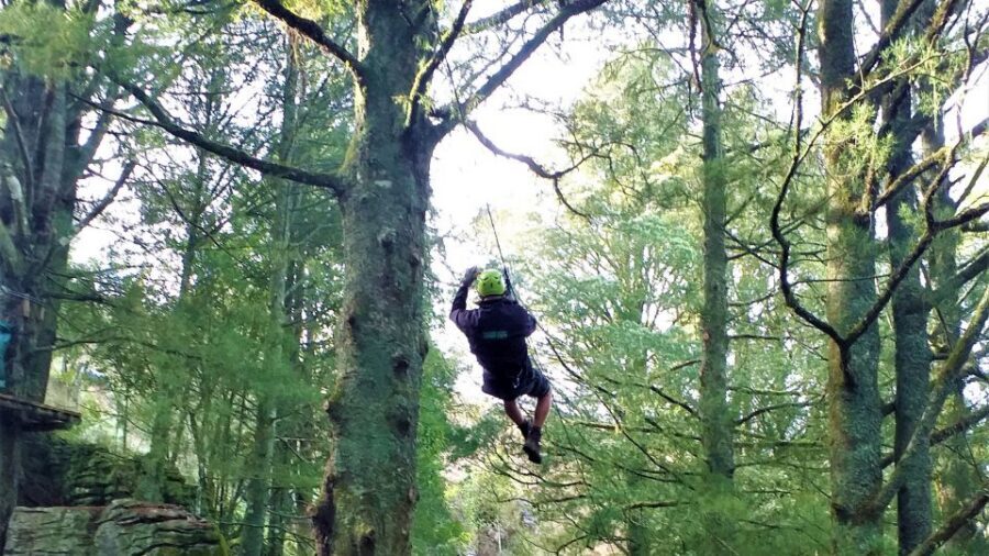 Waitomo Caves 1-Kilometer-Long Zipline Tour - The 280-Meter Finish: Up to 80 km/h