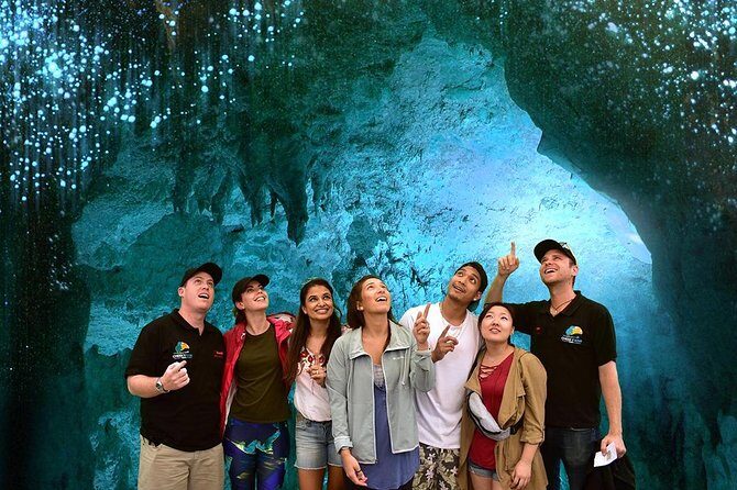 Waitomo Caves & Hobbiton Small Group Tour inc Lunch from Auckland - Who this tour suits best (and who might feel rushed)