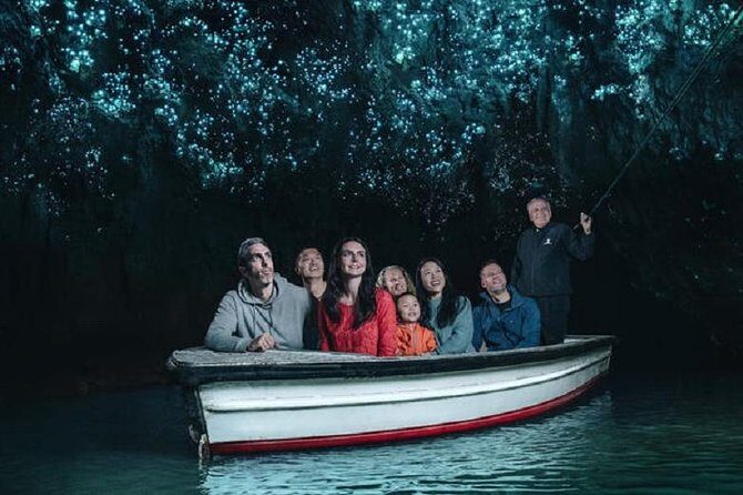 Waitomo Caves Private Driver for Tour - Key points at a glance