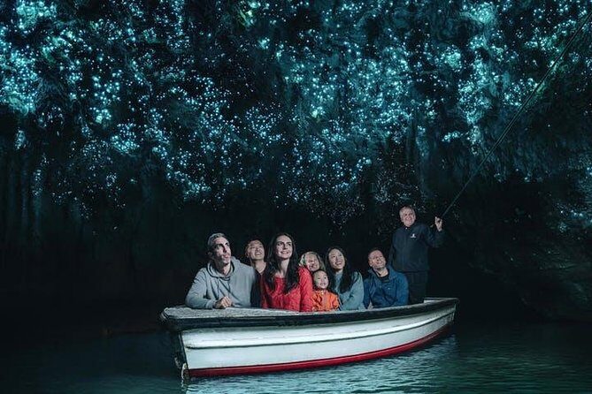 Waitomo Caves Private Tour from Auckland - Key things that make this Waitomo private tour worth your time