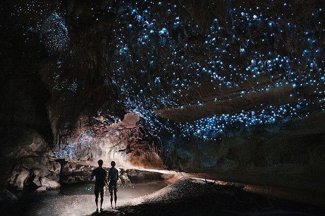Waitomo Caves Private Tour from Auckland - Where Waitomo magic comes from (and what you’ll actually see)