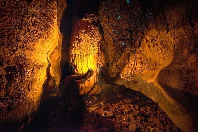 Waitomo Caves Private Tour from Auckland - The 45-minute glowworm cave tour: best for understanding what you’re seeing