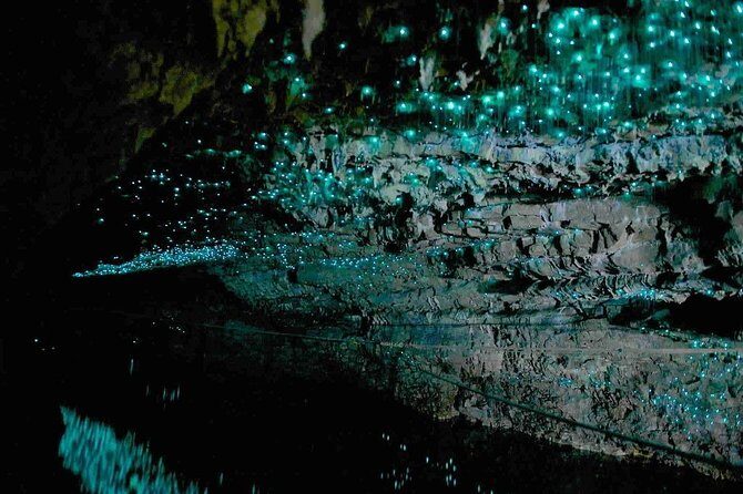 Waitomo Caves Private Tour from Auckland - Guides matter here: why learning from Bob-style storytelling is a big deal
