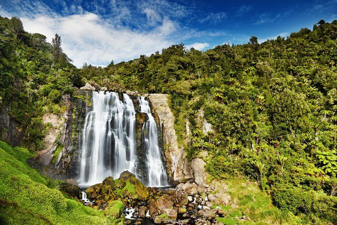 Waitomo Caves Private Tour from Auckland - Weather, road closures, and the real risk of losing your day