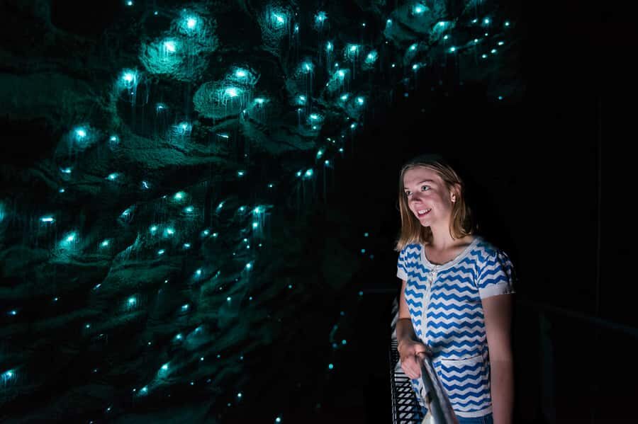 Waitomo Caves: Ruakuri Glowworm Cave Guided Walking Tour - Spiral Entrance to Underground Walkways: The Moment You Notice the Cave is Real