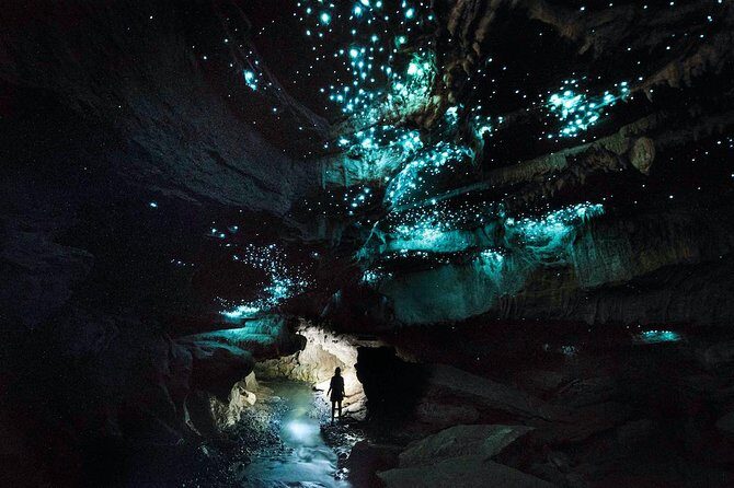 Waitomo E-bike ride including enchanting bush walk - Ruakuri Bush Walk option: 45 minutes of enchanted forest