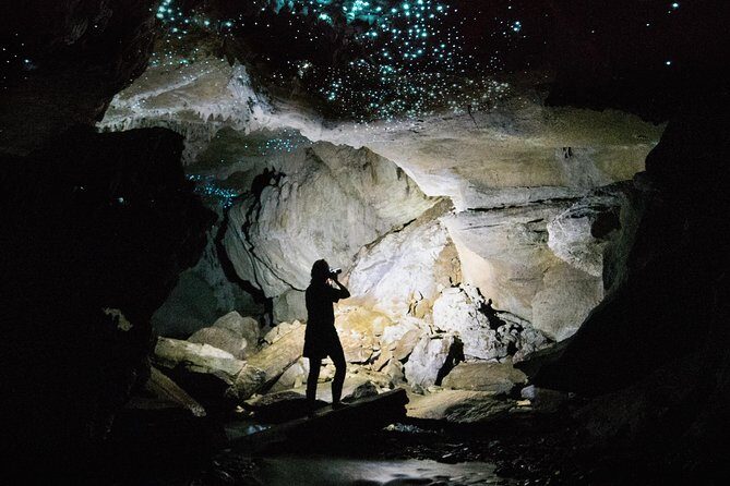 Waitomo E-bike ride including enchanting bush walk - Price and value: why $55.23 feels fair for what you get