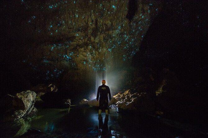 Waitomo Glow Worm Caves - Key highlights at a glance