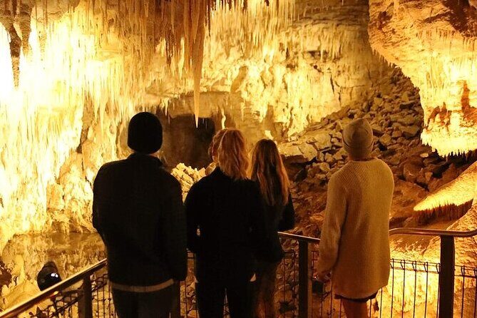 Waitomo Glow Worm Caves - Inside the glowworm caves: one hour of guided wonder