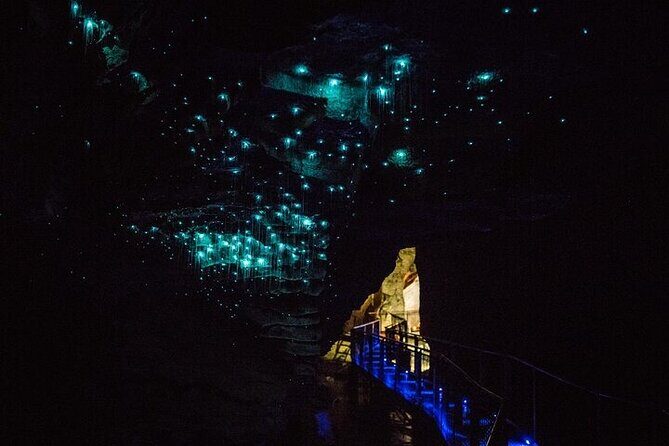 Waitomo Glow Worm Caves & Te Puia - Rotorua's Geothermal Valley - After Waitomo: The 2-Hour Transfer to Rotorua