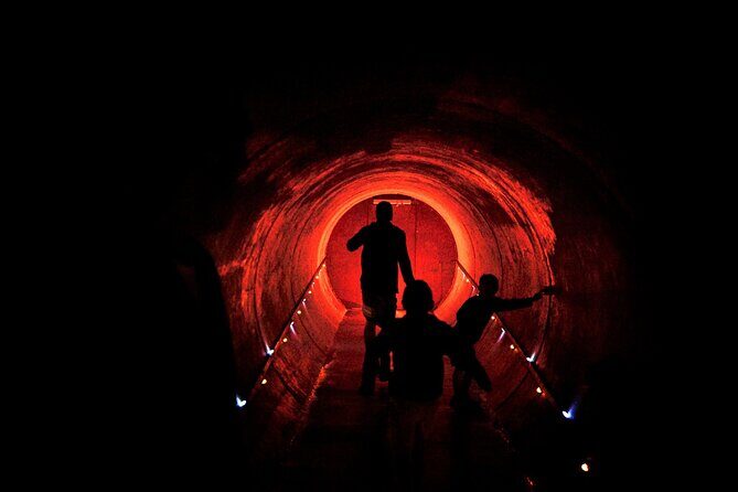 Waitomo Glowworm Caves and Kiwi House Small Group from Auckland - Small-group format: up to 11, and why that’s a big deal