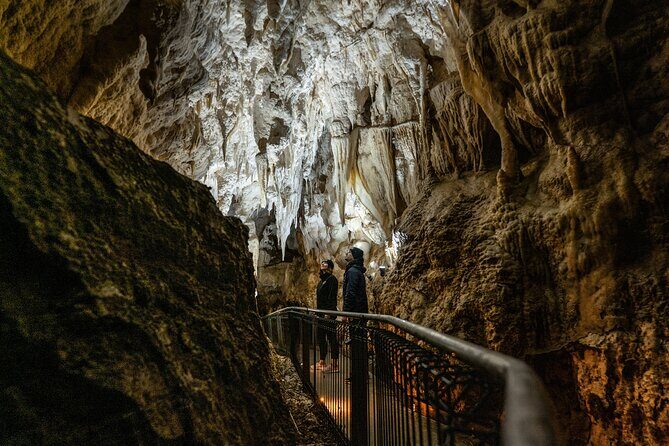 Waitomo Glowworm Caves and Kiwi House Small Group from Auckland - What you should expect from the pacing (8 to 9 hours)