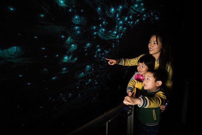 Waitomo Glowworm Caves and Kiwi House Small Group from Auckland - Ruakuri Glowworm Caves: the boat glide and the glowworm magic