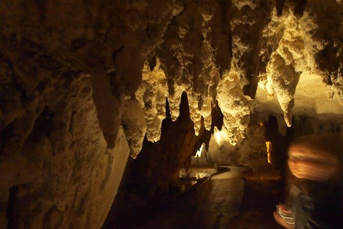 Waitomo Glowworm Caves In a Private Small Group Tour-Auckland. - Glowworms in the dark: what makes Waitomo special