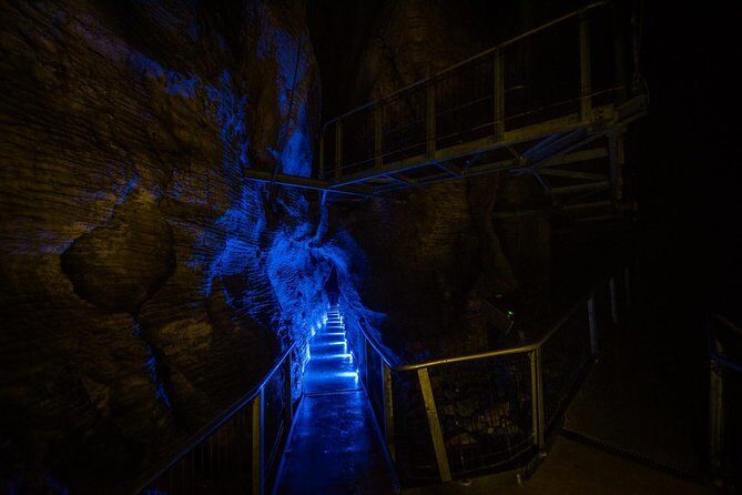 Waitomo Glowworm & Ruakuri Twin Cave Experience - Small Group Tour From Auckland - Stop One: Waitomo Glowworm Caves Boat Ride (Where the Silence Matters)