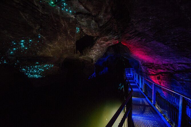 Waitomo Glowworm & Ruakuri Twin Cave - Private Tour From Auckland - The morning run: Bombay Hills, coffee, and Rose Capital vibes