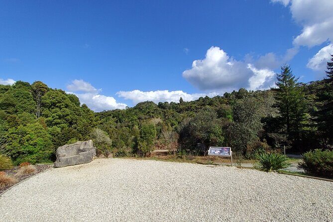 Waitomo Glowworm & Ruakuri Twin Cave - Private Tour From Auckland - Ruakuri Cave: longer guided walk and better photo access