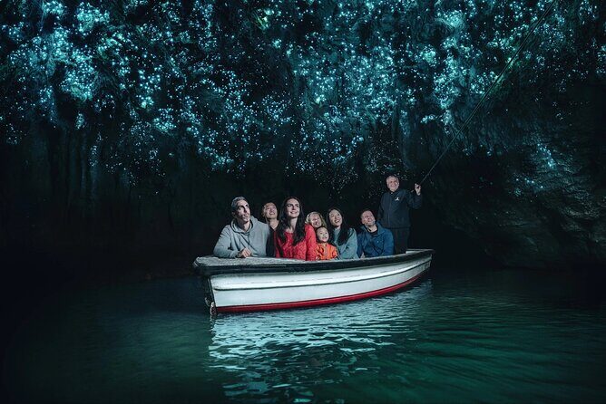 WAITOMO - Twin Caves Discovery - Private Day Tour from Auckland - Key Things You’ll Like About This Waitomo Twin Caves Tour