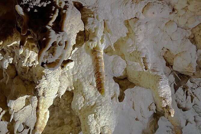 WAITOMO - Twin Caves Discovery - Private Day Tour from Auckland - Getting Around in Comfort: Pickup, Air-Conditioning, and Pacing