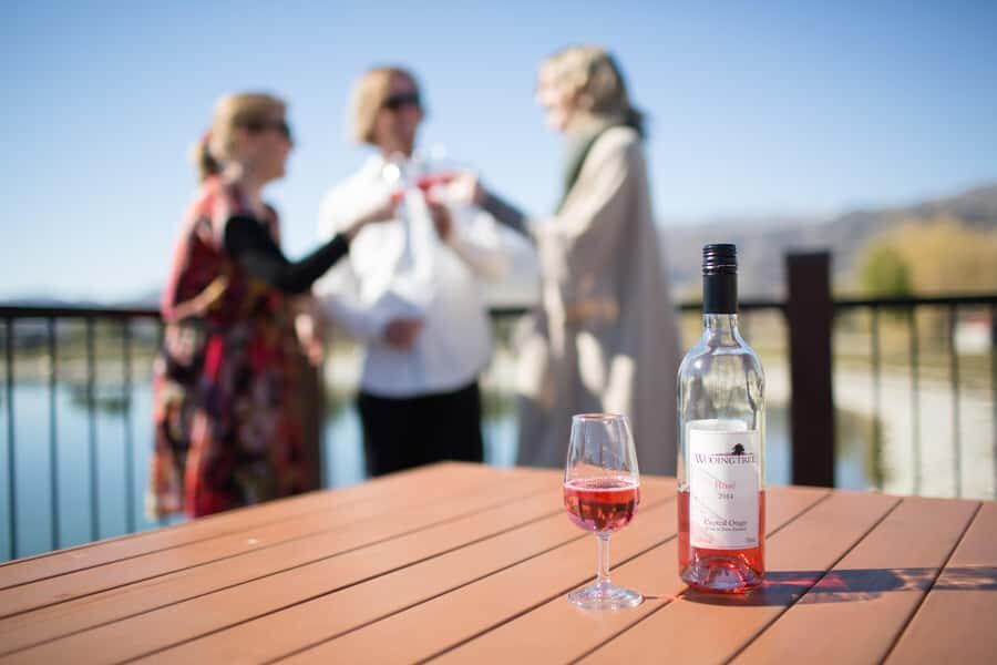 Wanaka: Afternoon Boutique Wine Tour - Key things I’d circle on your itinerary