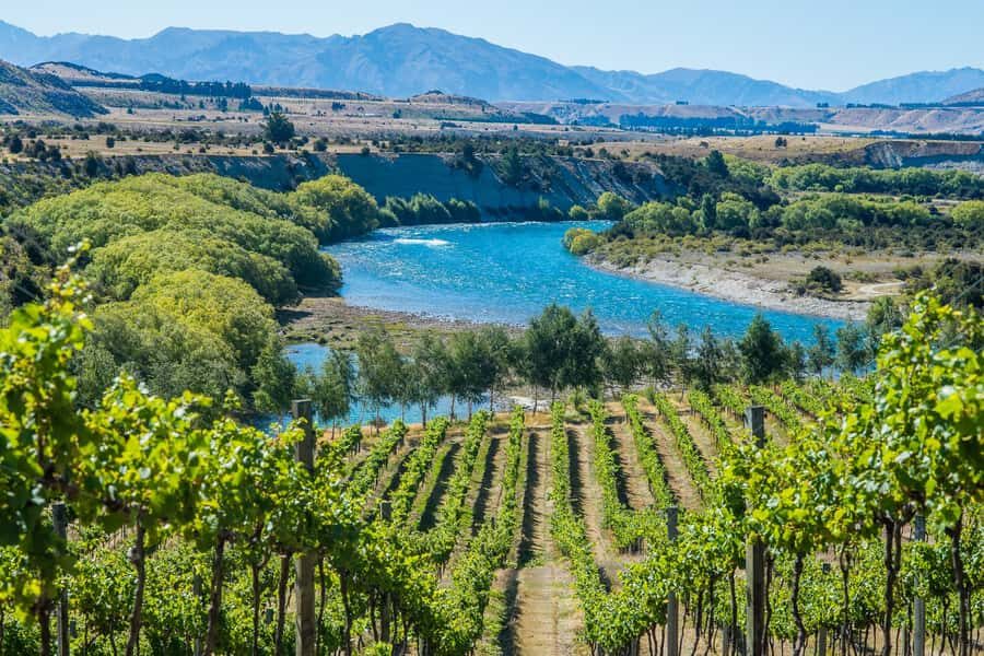 Wanaka: Afternoon Boutique Wine Tour - Why a Wanaka afternoon wine tour works so well