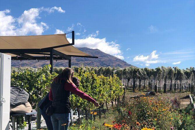 Wanaka Breweries E-Bike Tour - Brewery stops and food pairings at your own pace
