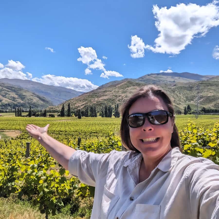 Wanaka: Full Day Wine Tour Hidden Gems - Key Highlights You’ll Actually Feel During the Day