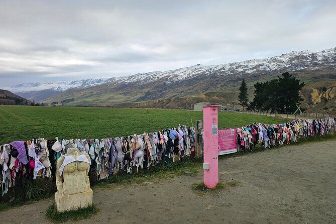 Wanaka Private Day Trip from Queenstown: TravelnGo - Why this private Wanaka day trip beats the big bus