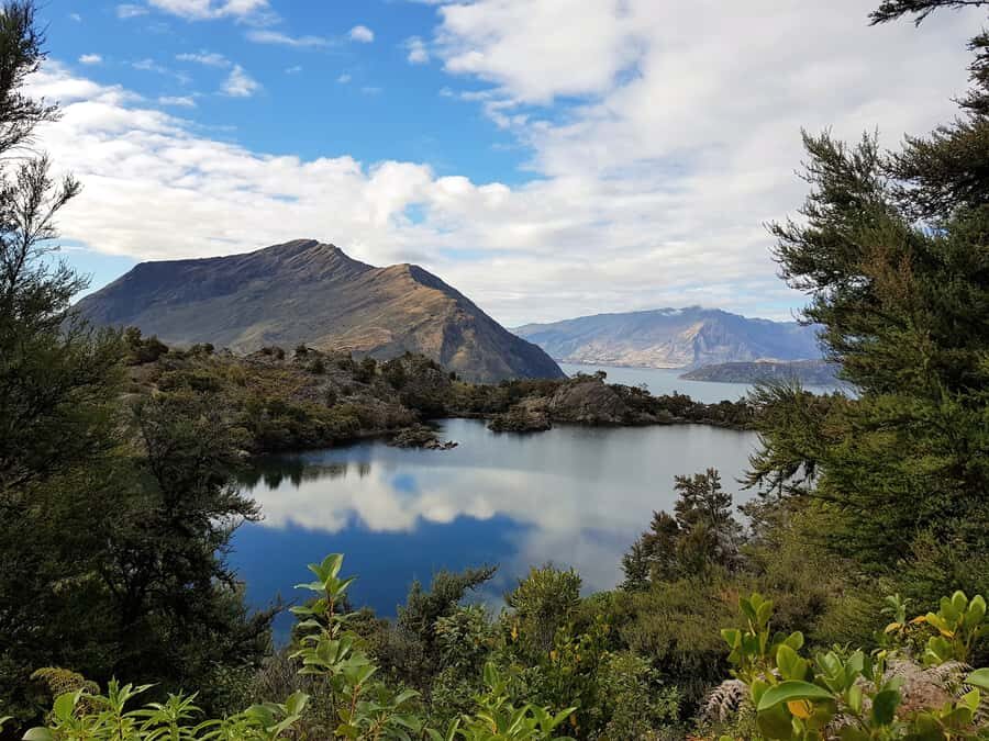 Wanaka: Water Taxi & Mou Waho Island Tour - When to go for fewer people and better conditions