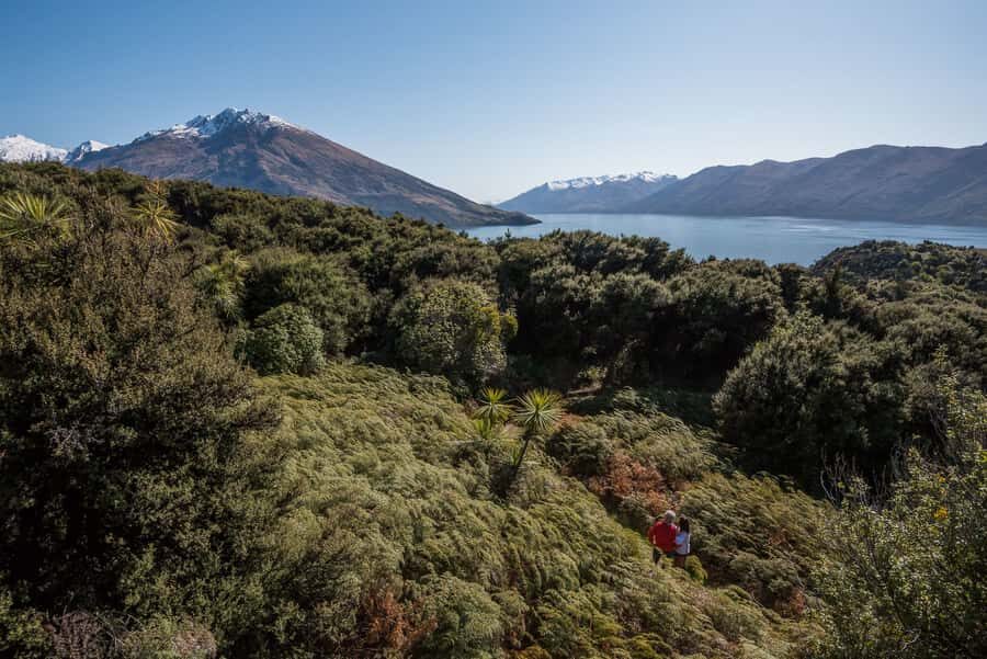 Wanaka Water Taxi Mou Waho Island Tour - Wanaka Water Taxi to Mou Waho Island: What Makes It Worth the Trip