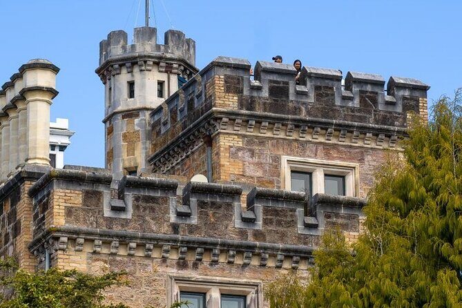 Water Taxi and Shuttle to Larnach Castle - Dunedin on your terms: what you do after you leave the castle