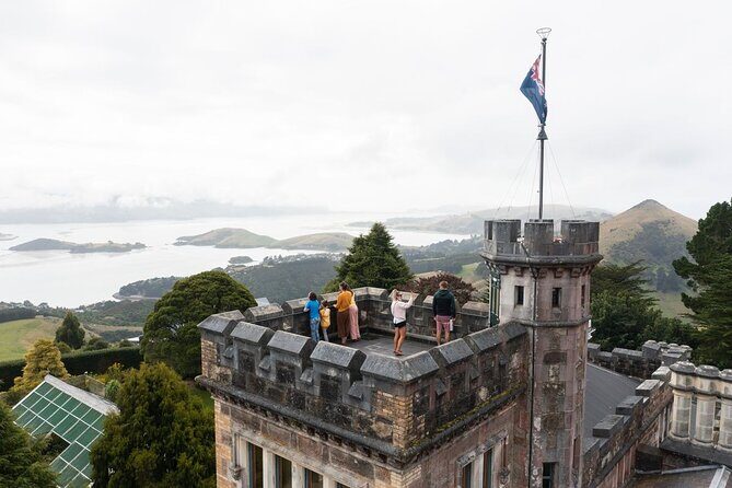 Water Taxi and Shuttle to Larnach Castle - Practical tips: how to have a smoother, less rushed visit