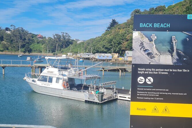 Water Taxi and Shuttle to Larnach Castle - Macandrew Bay to Larnach Castle: fast van transfer with real views