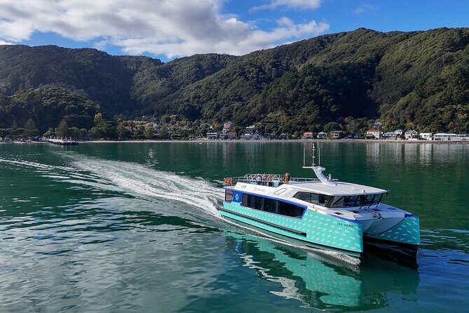 Wellington 90 minute Harbour Cruise - Key reasons this harbour cruise works