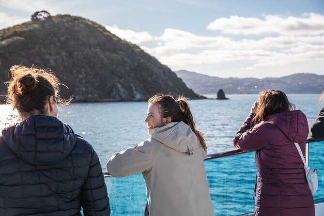 Wellington 90 minute Harbour Cruise - Why Ika Rere’s electric ride is more enjoyable than it sounds